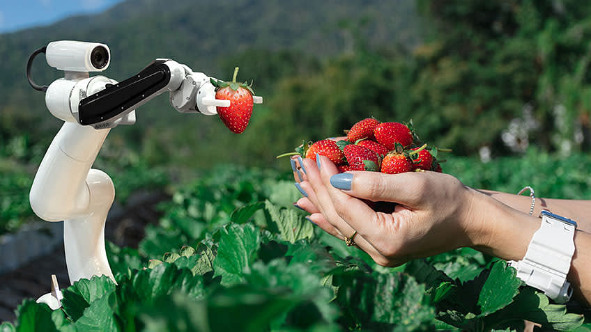 Leveraging AI in the Agriculture Industry