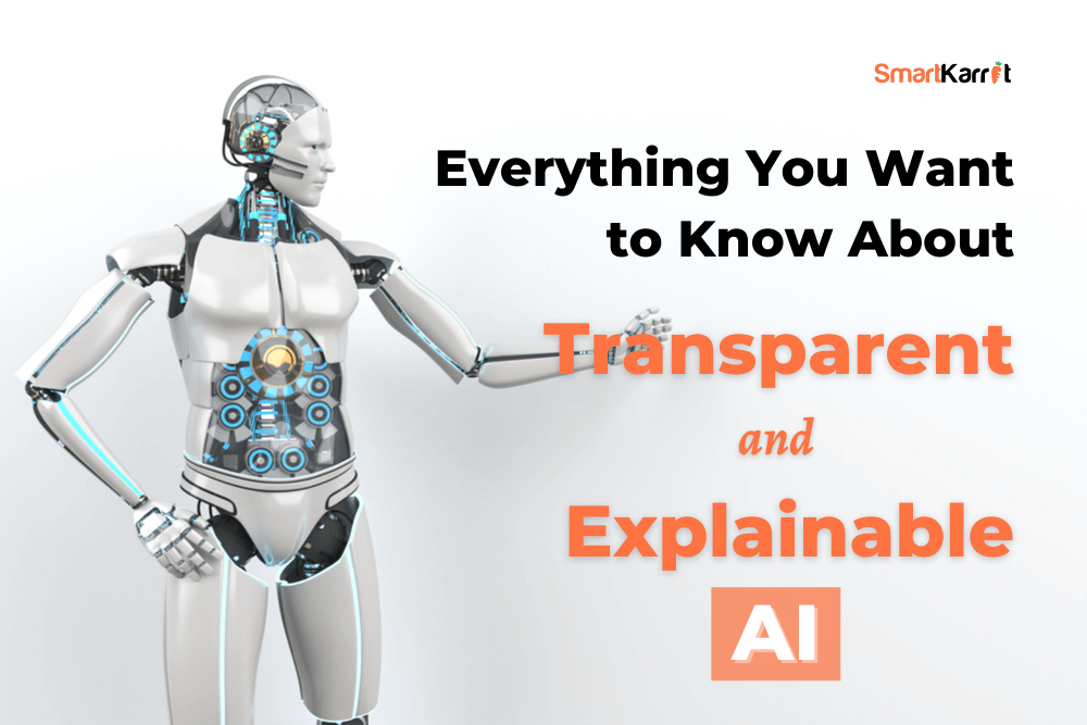 Everything You Want to Know About Transparent and Explainable AI (2023)